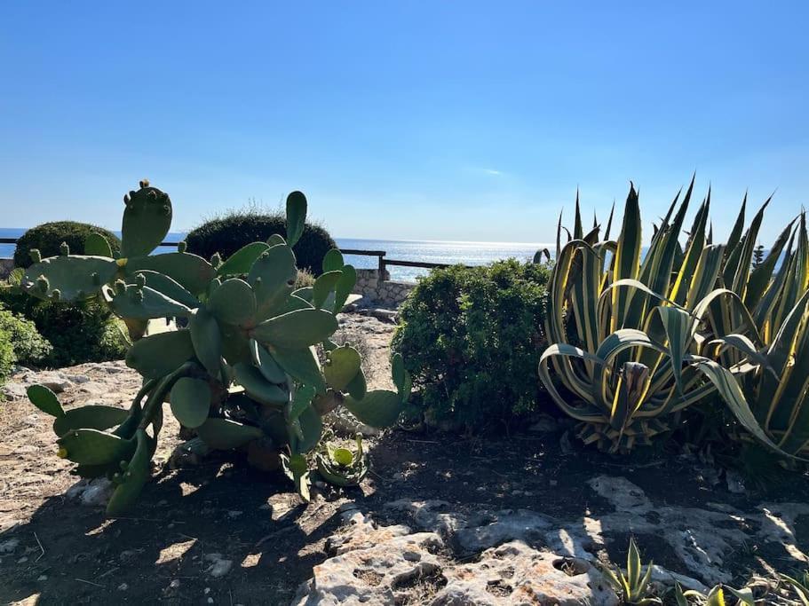 Villa Sebastian- Incomparabile Vista Sul Mare Plemmirio Eksteriør bilde